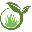 Palm Desert Lawn Clean Up