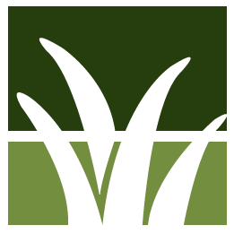 Palm Desert Lawn Clean Up