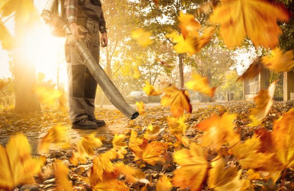 Leaf Blowing Service in Palm Desert