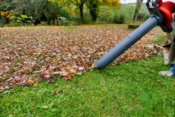 Leaf Vacuuming Service in Palm Desert