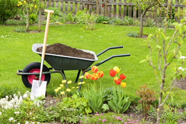 Cost of Spring Yard Cleanup in Palm Desert