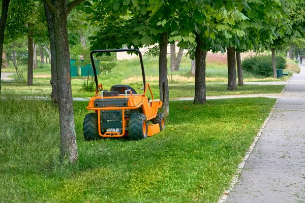 Landscaping Cleanup Service in Palm Desert
