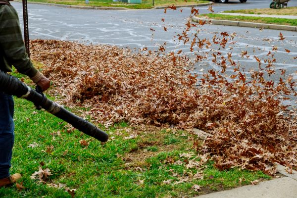 Cost of Garden Leaf Removal in Palm Desert
