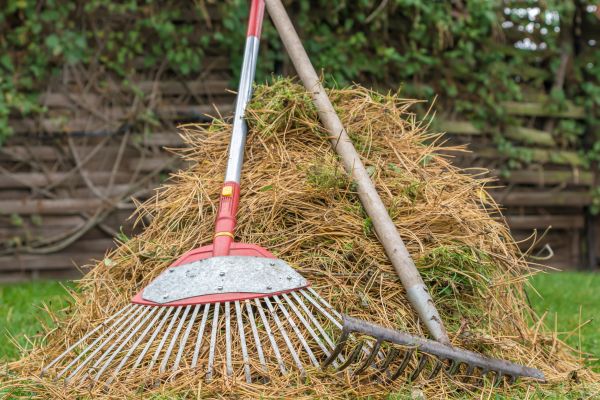 Cost of Pine Straw Clearing in Palm Desert