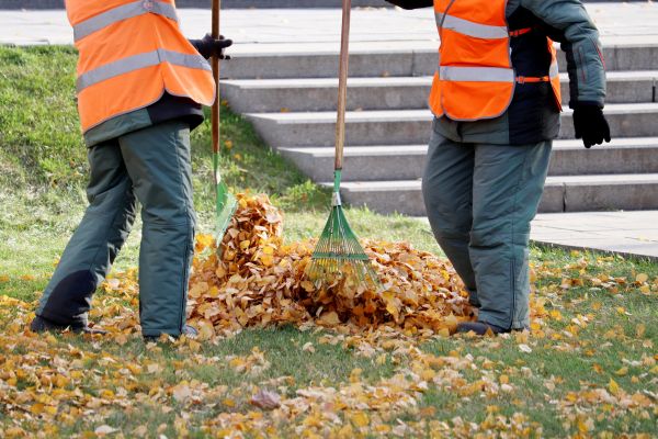 Cost of Leaf Hauling Service in Palm Desert