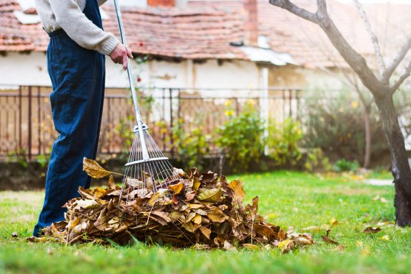 Spring Lawn Cleanup in Palm Desert