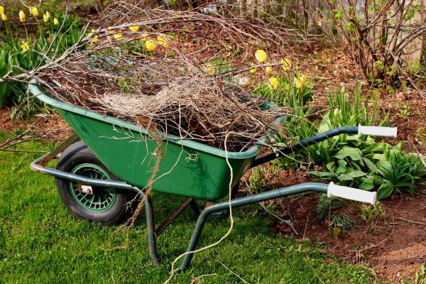 Lawn Waste Removal in Palm Desert