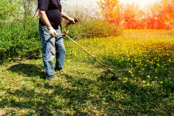 Cost of Yard Clearing Service in Palm Desert