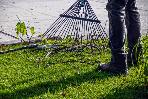 Yard Debris Cleanup in Palm Desert