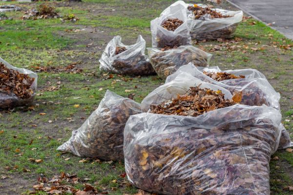 Cost of Leaf Pile Disposal in Palm Desert