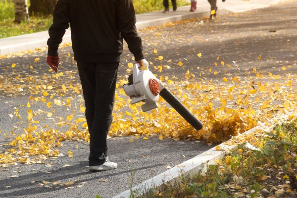 Commercial Leaf Removal in Palm Desert