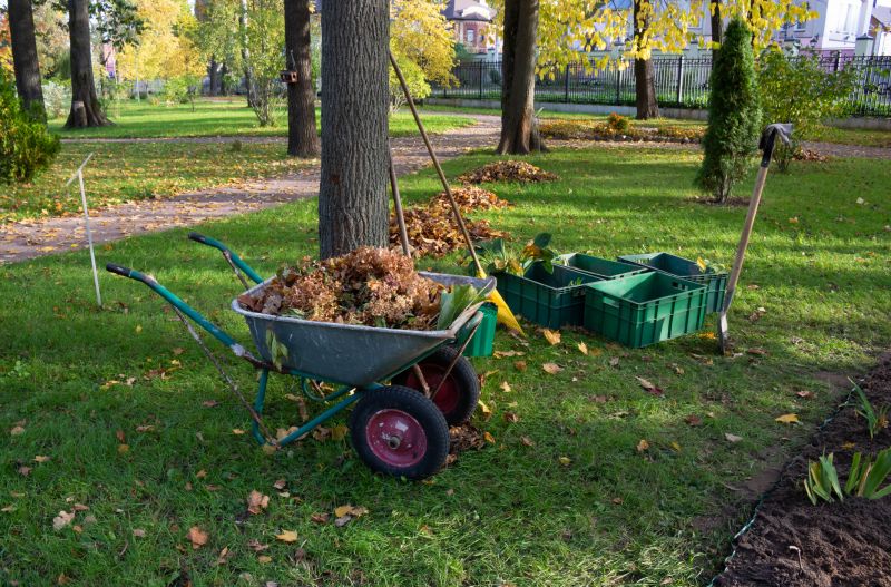Fall Lawn Cleanup Service