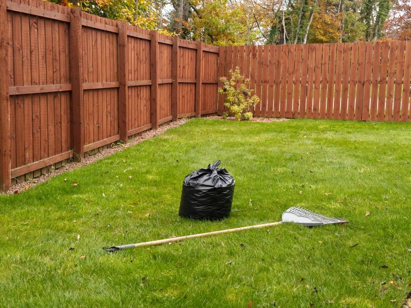 Clean Lawn After Fall
