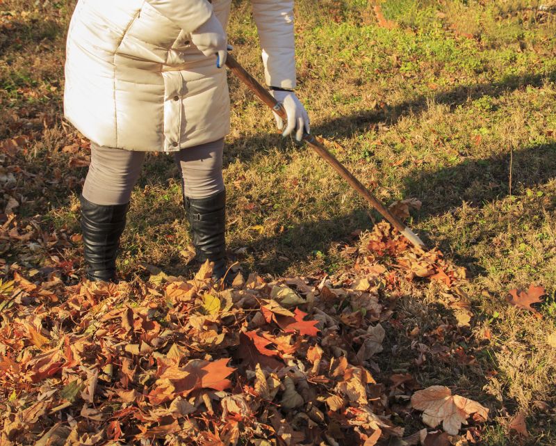 Leaf Raking Service