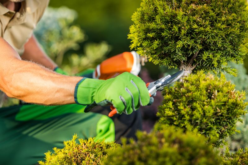 Landscape Contractors